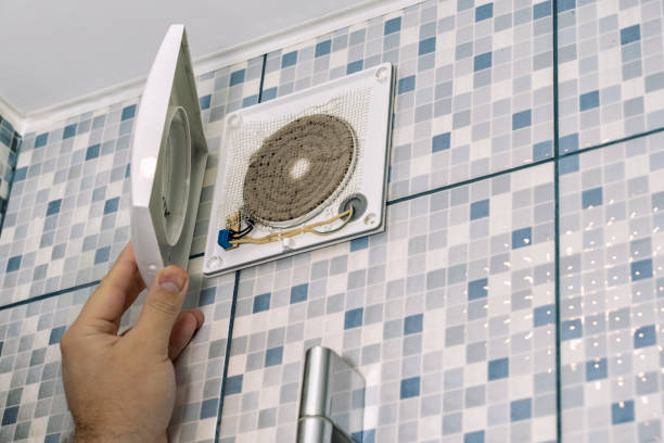 Best Air Duct Sanitizing Services  in Prairie Grove, IL