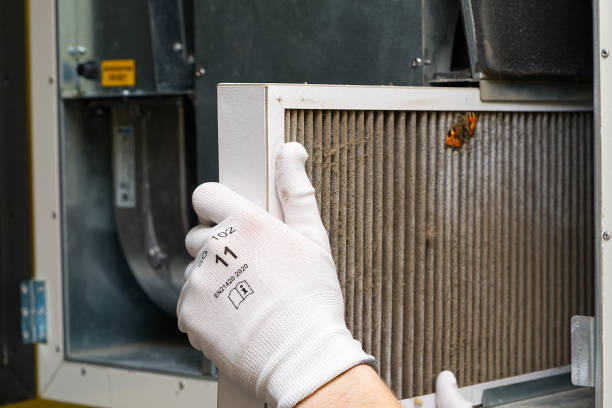 Best Duct Cleaning Specialists  in Prairie Grove, IL